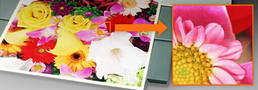 柯尼卡美能達(dá)C221s原裝碳粉輸出效果 柯尼卡美能達(dá)C221s原裝碳粉輸出效果