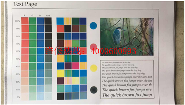 柯尼卡美能達C280打印有黑色線條效果圖-科頤辦公