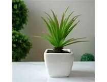 夏日帶上柯尼卡美能達(dá)復(fù)印機 添點綠植 泡個花茶 時刻保濕 一起涼快辦公